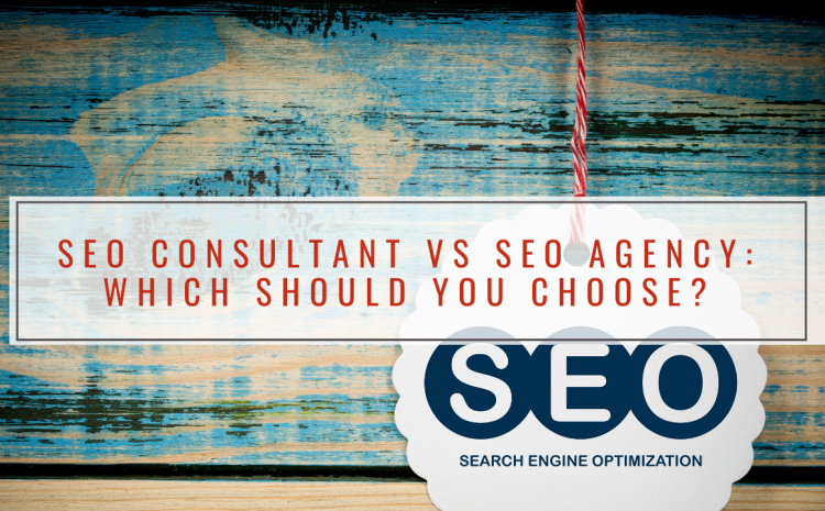 SEO Consultant vs SEO Agency: Which Should You Choose?